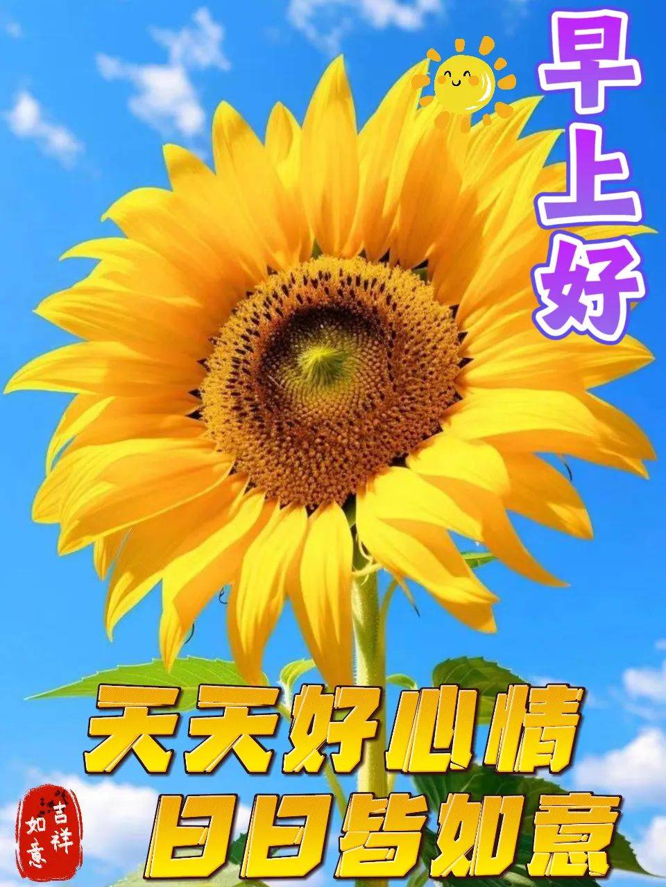 早安心语:愿好运和惊喜铺满整个五月