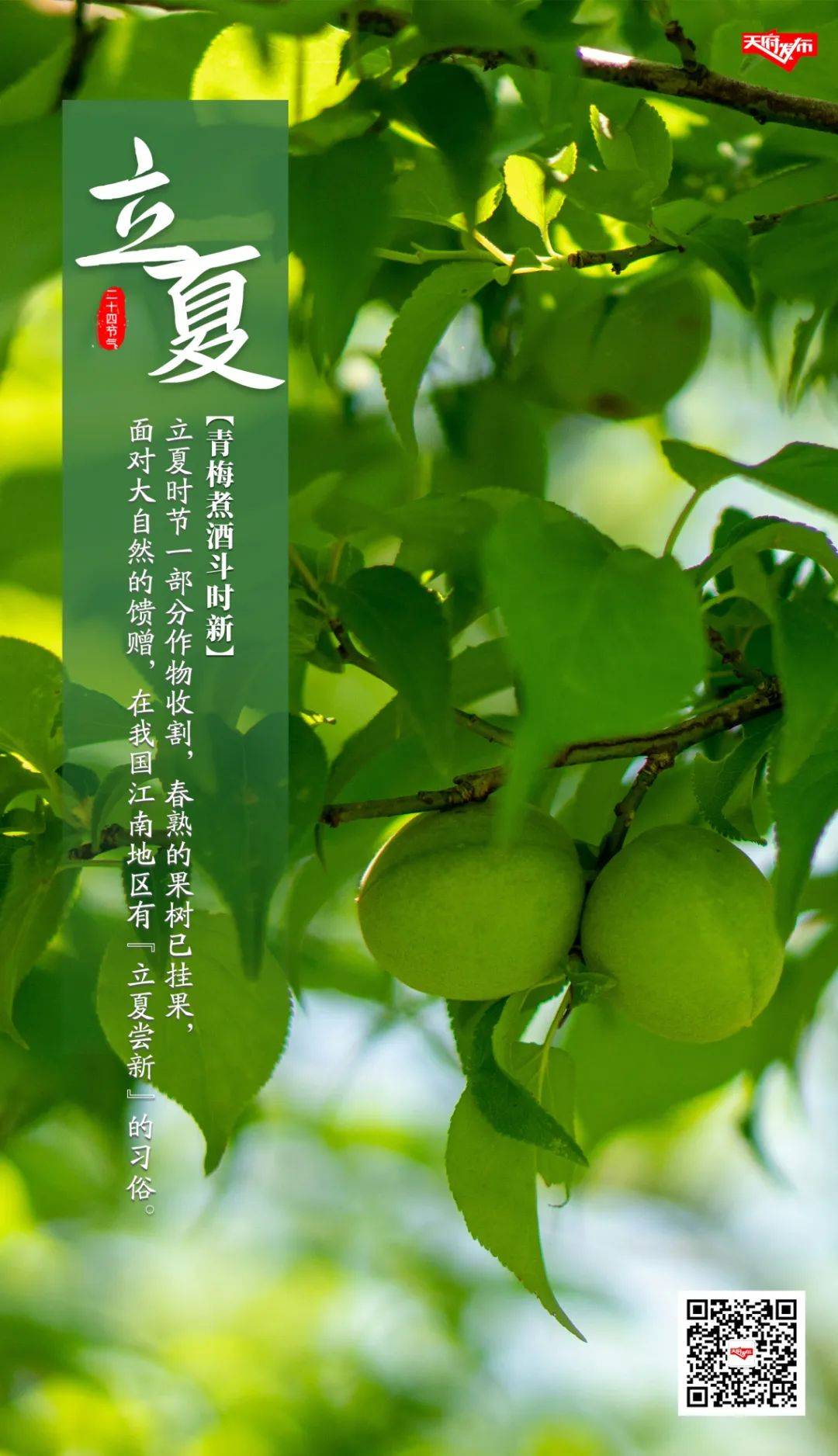 立夏丨成都什么时候入夏?