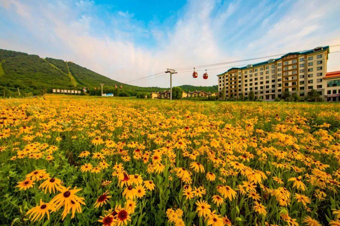 【好去处】初夏时节,亚布力已是万象盛景