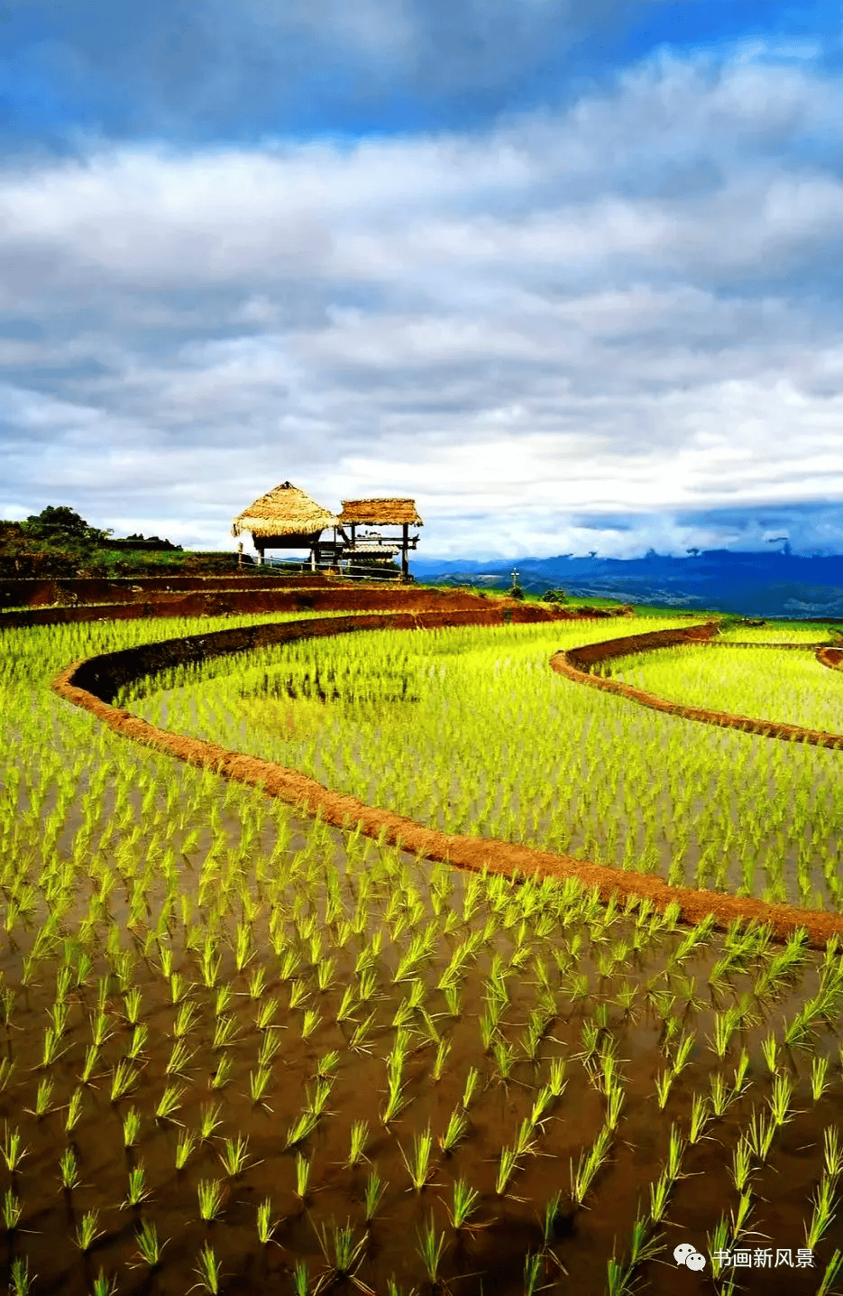 一组田园美景