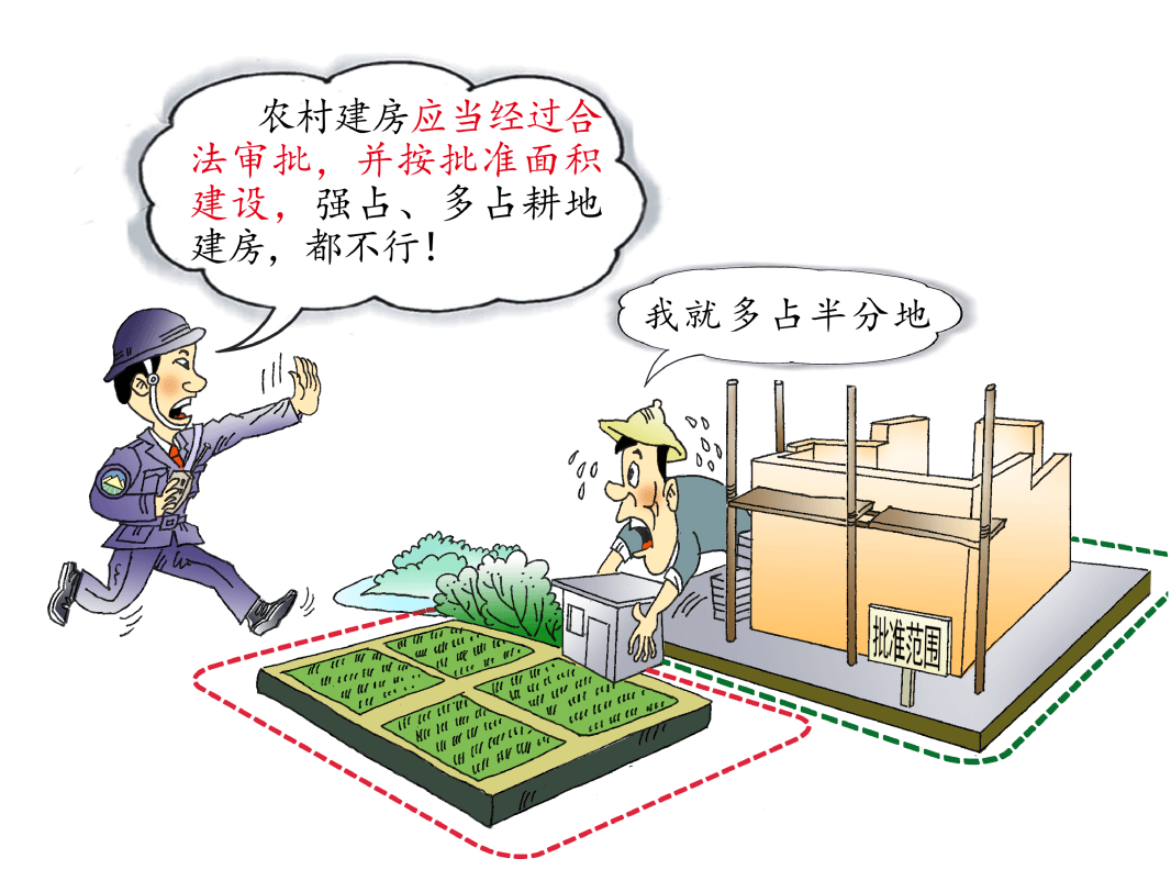 守住耕地红线 护好粮食安全