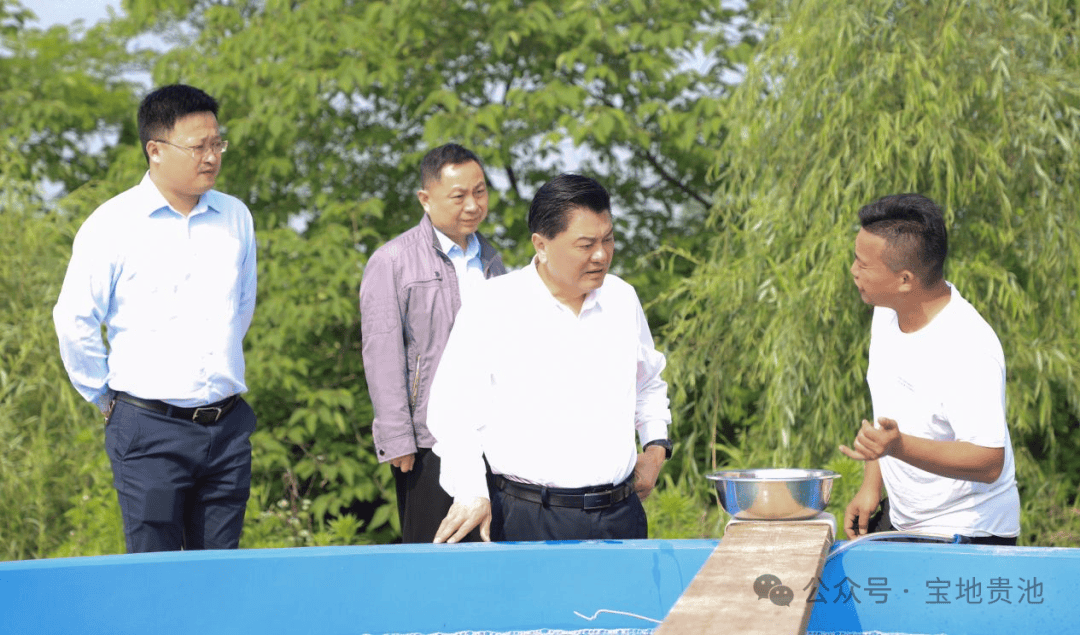 马胜利深入镇街指导当前重点工作