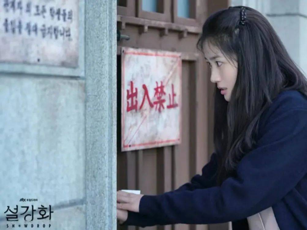 说她是韩国杨紫不过分吧!