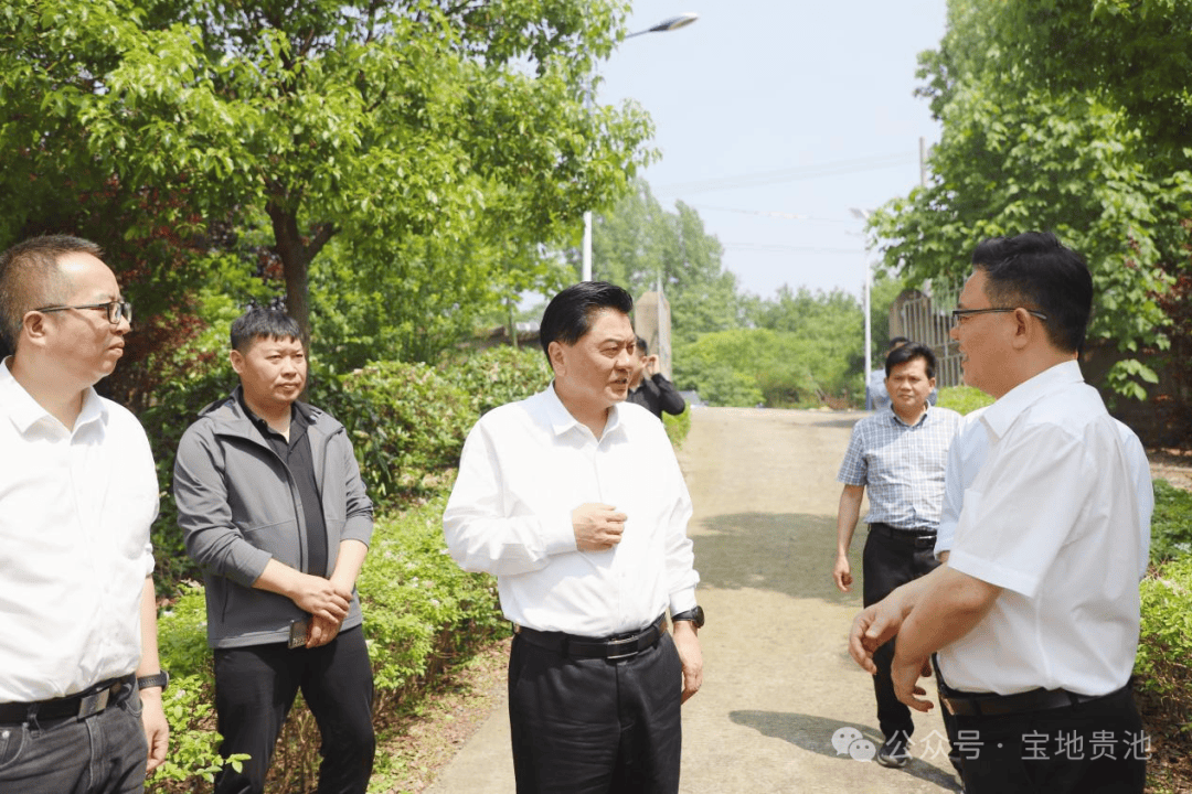 马胜利深入镇街指导当前重点工作