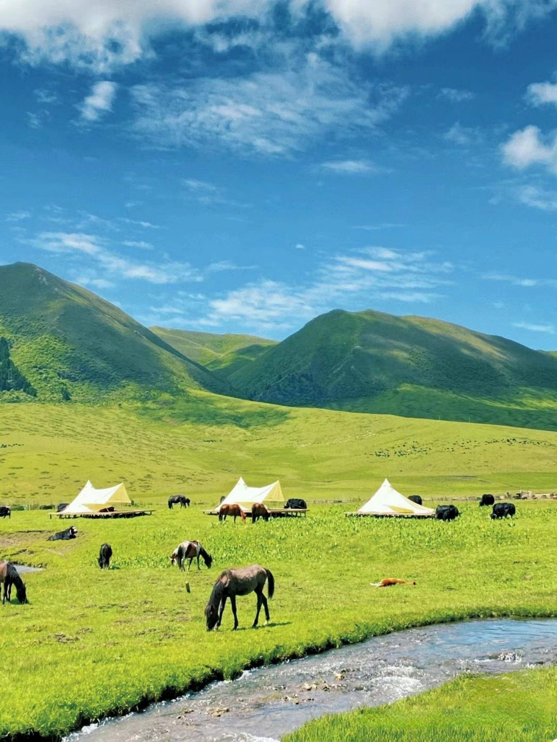 6月份旅游景点四川宜宾 ,去了三次后总结的建议及攻略