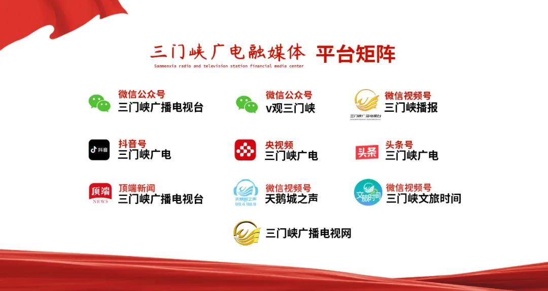 【绿水青山看崤函】三门峡天鹅湖国家城市湿地公园新添6只天鹅宝宝