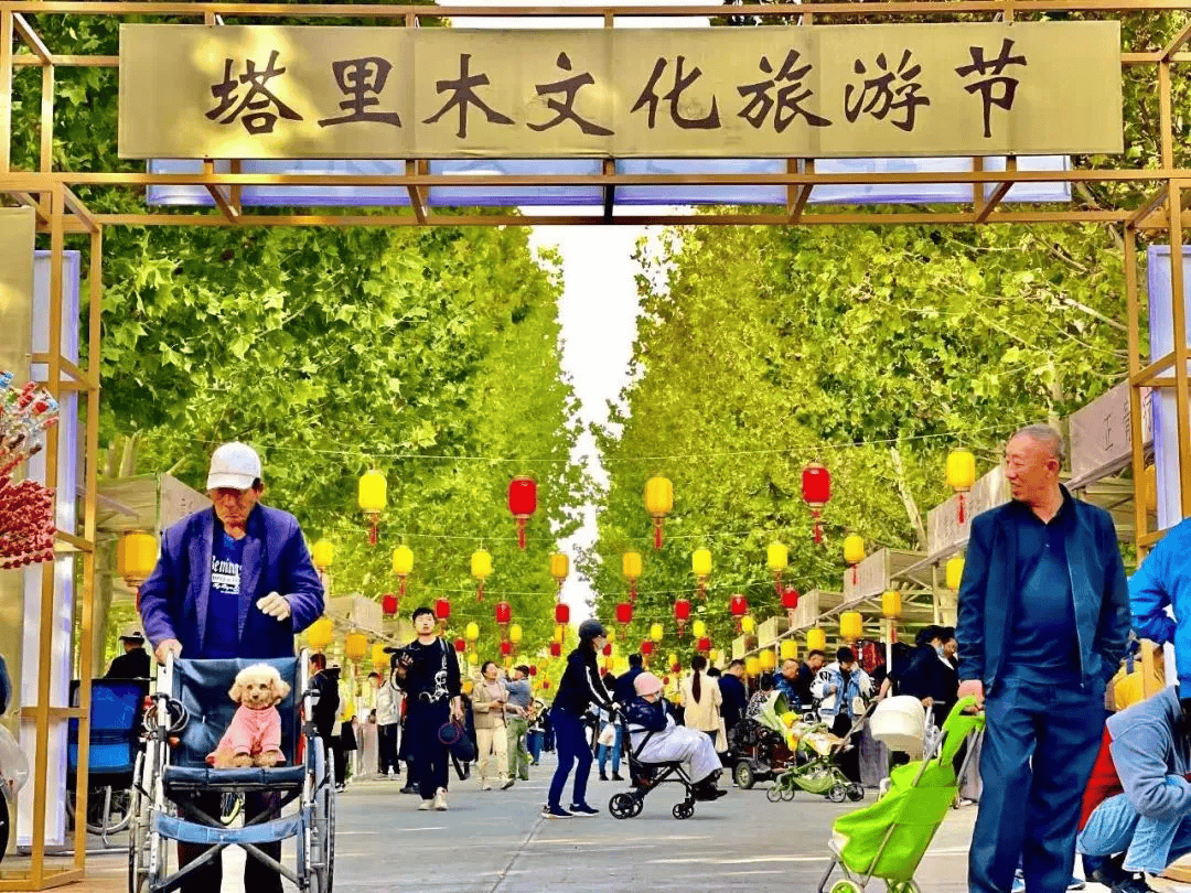 志愿西部行,我们在阿拉尔等你!丨西部计划招募季_工作_乡村_服务
