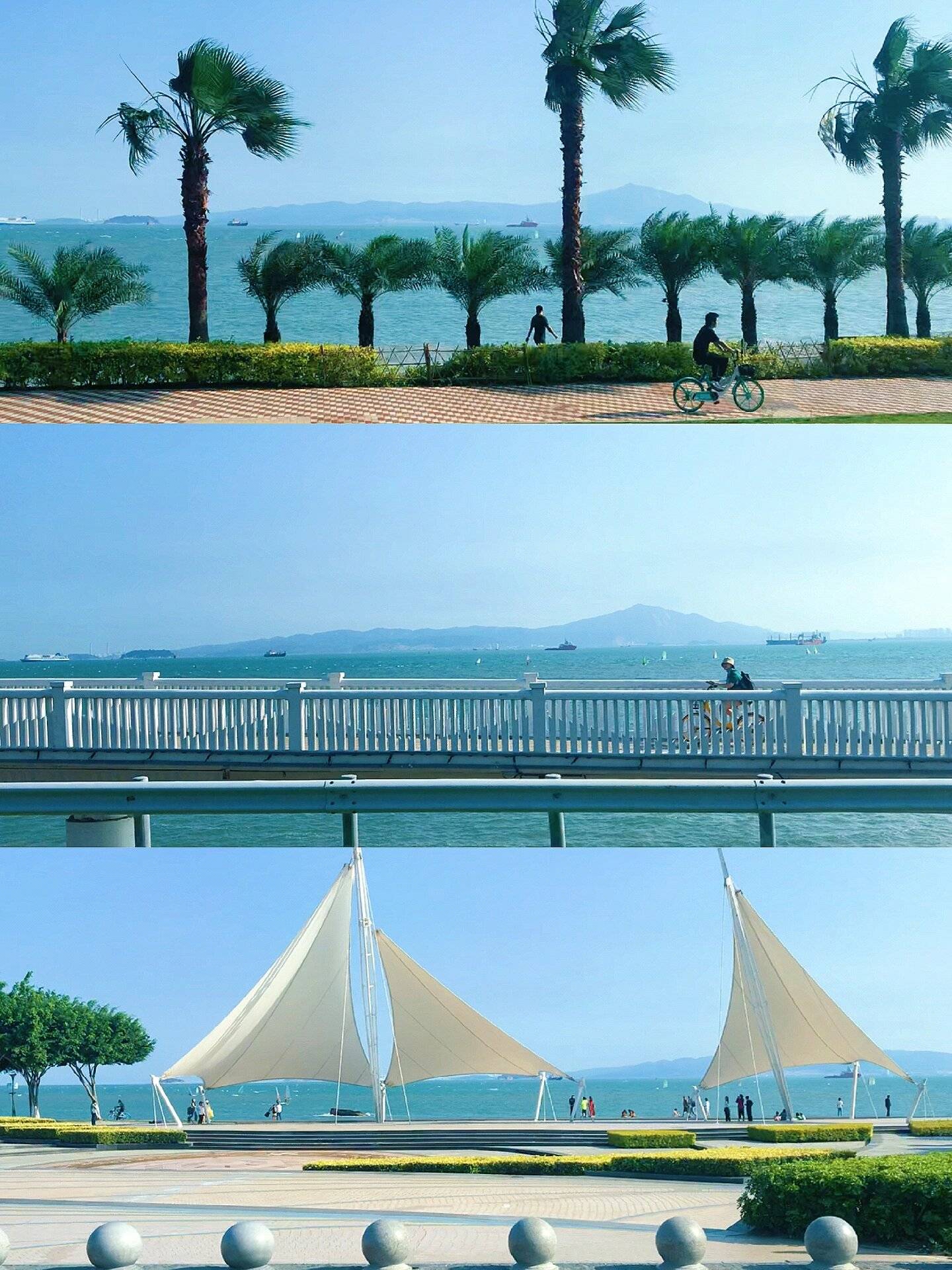 江西至厦门旅游路线,自由行攻略 ,不交智商税不踩雷,超全攻略