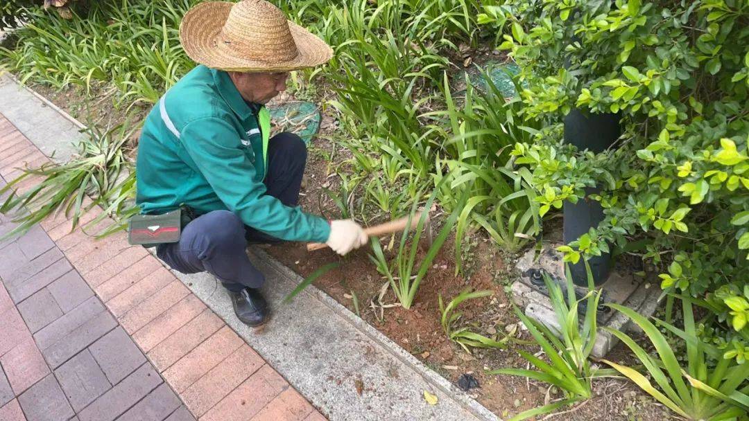 科瑞物业:"绿植达人"这样打造城市鲜氧环境→_植物_工作_绿地