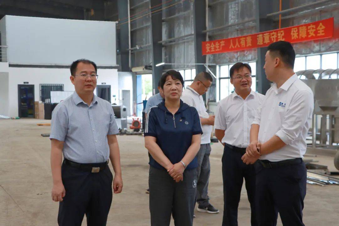 李红兰到新和镇开展有关项目情况调研_建设_江州区_进度