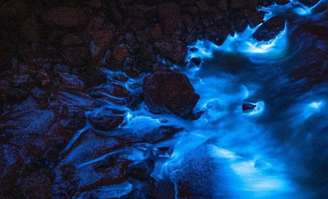 追一场梦幻蓝眼泪,"22个世界遗产点"泉州,簪花换装体验,全程四钻,1晚