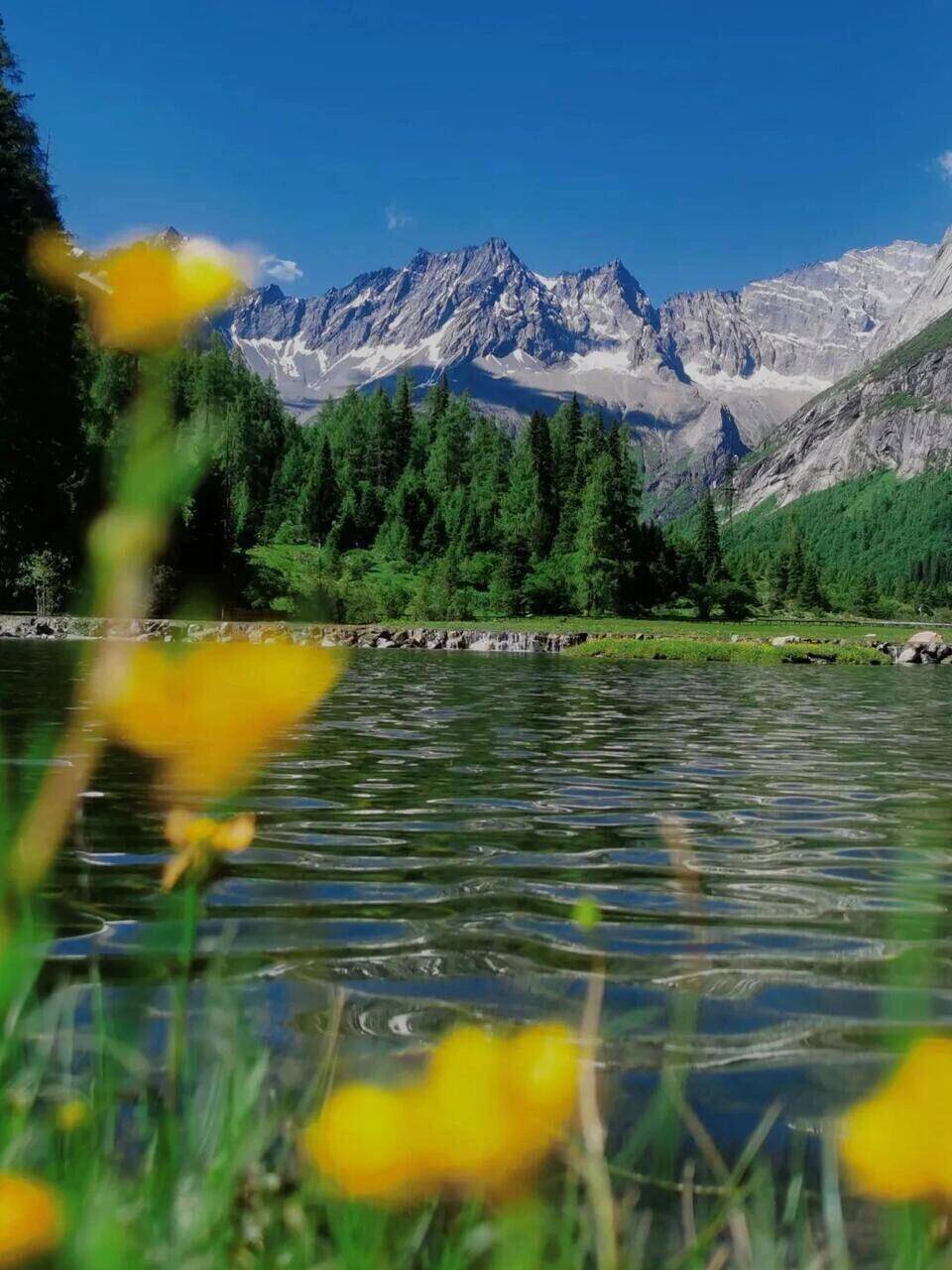 成都景点排行榜_成都旅游景点排名前十名,详细看这篇攻略就够了