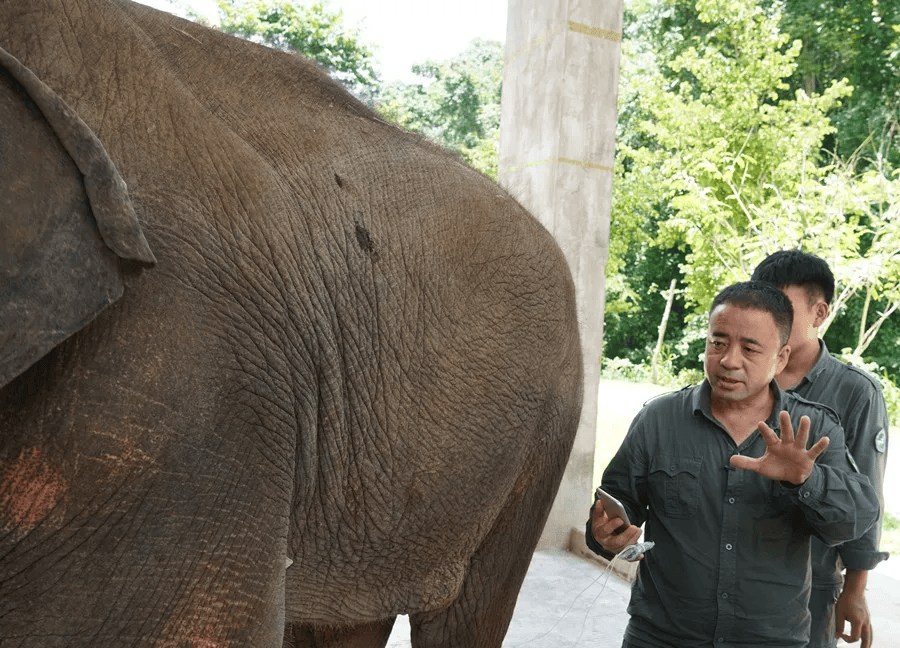 守住"象"往的生活 | 新时代"中国好人"故事