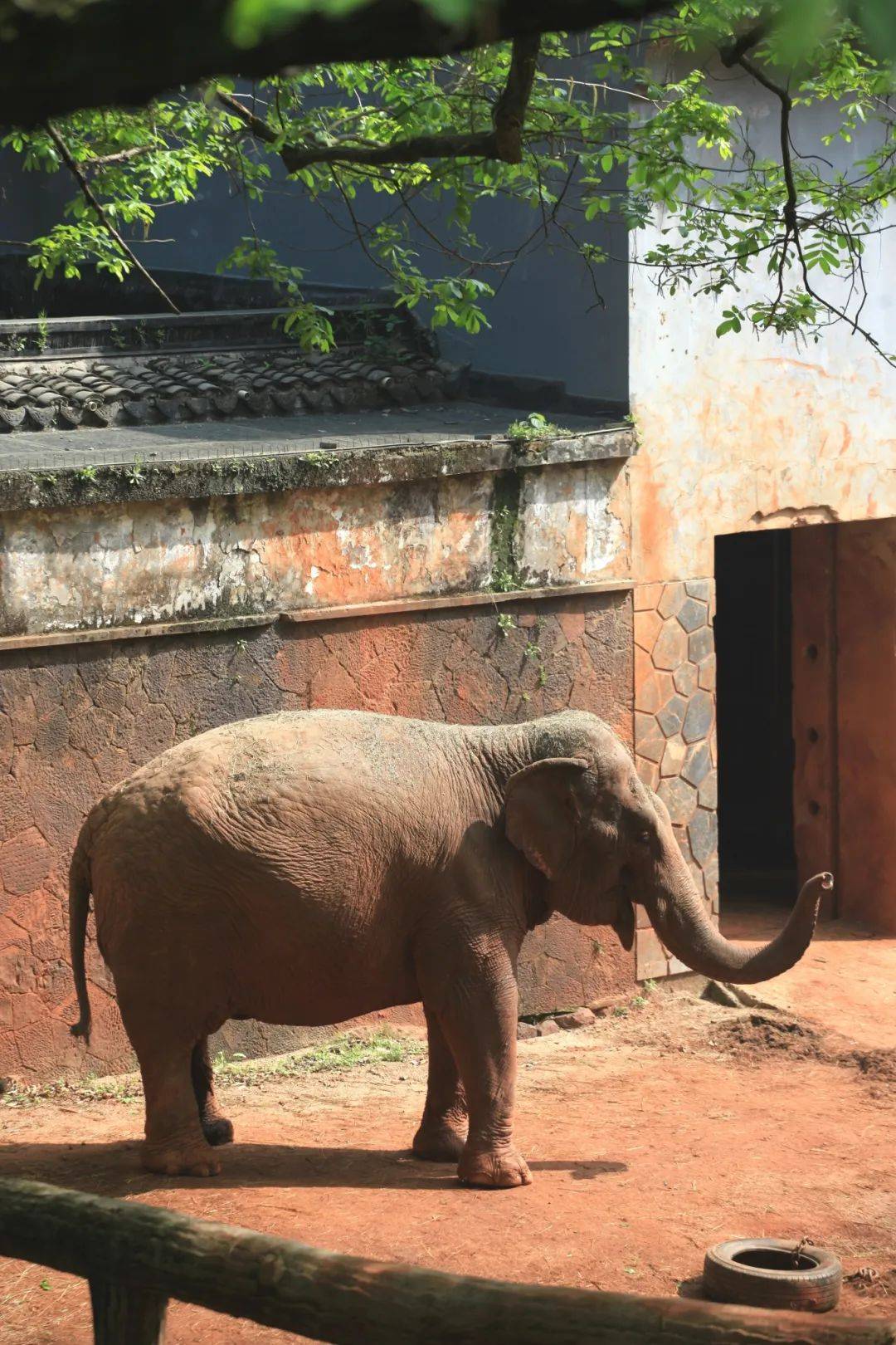 这么多关于动物的有趣问题仅仅是"逛"动物园怎么够杭州动物园"周末