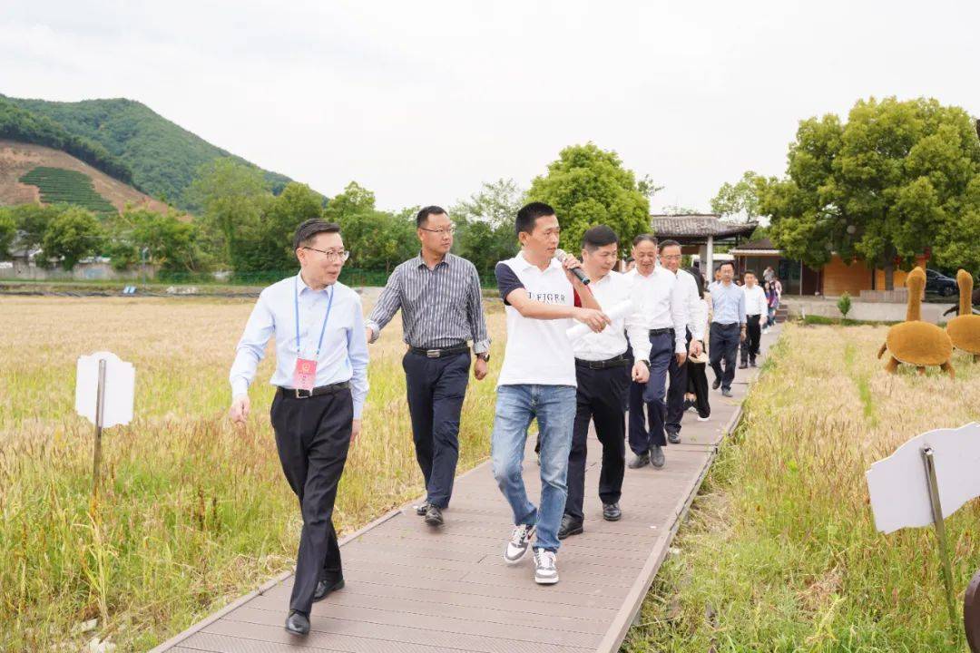 市人大民生实事第三监督小组赴我区开展"代表监督周"活动