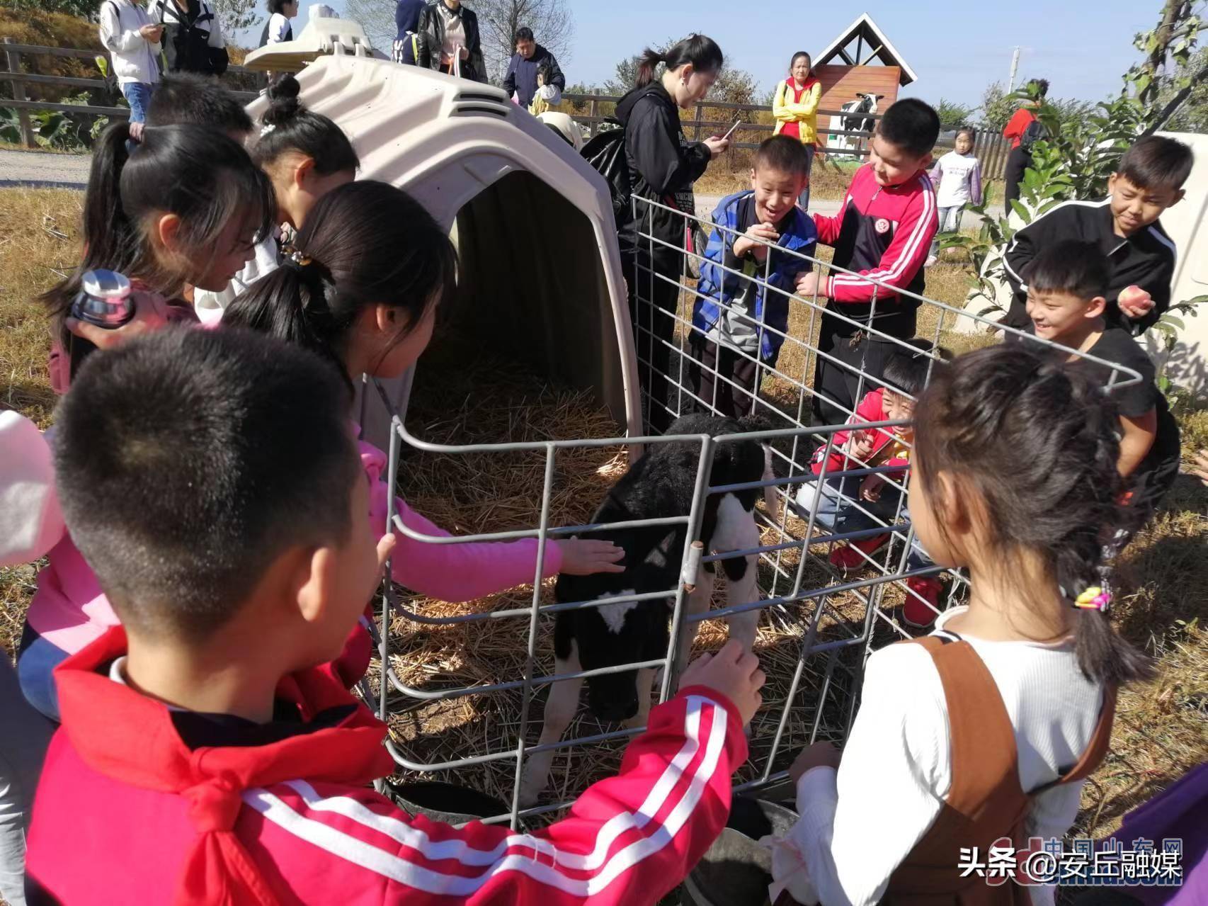 潍坊安丘:消费数据背后看活力 country walk释放县域经济发展新动能