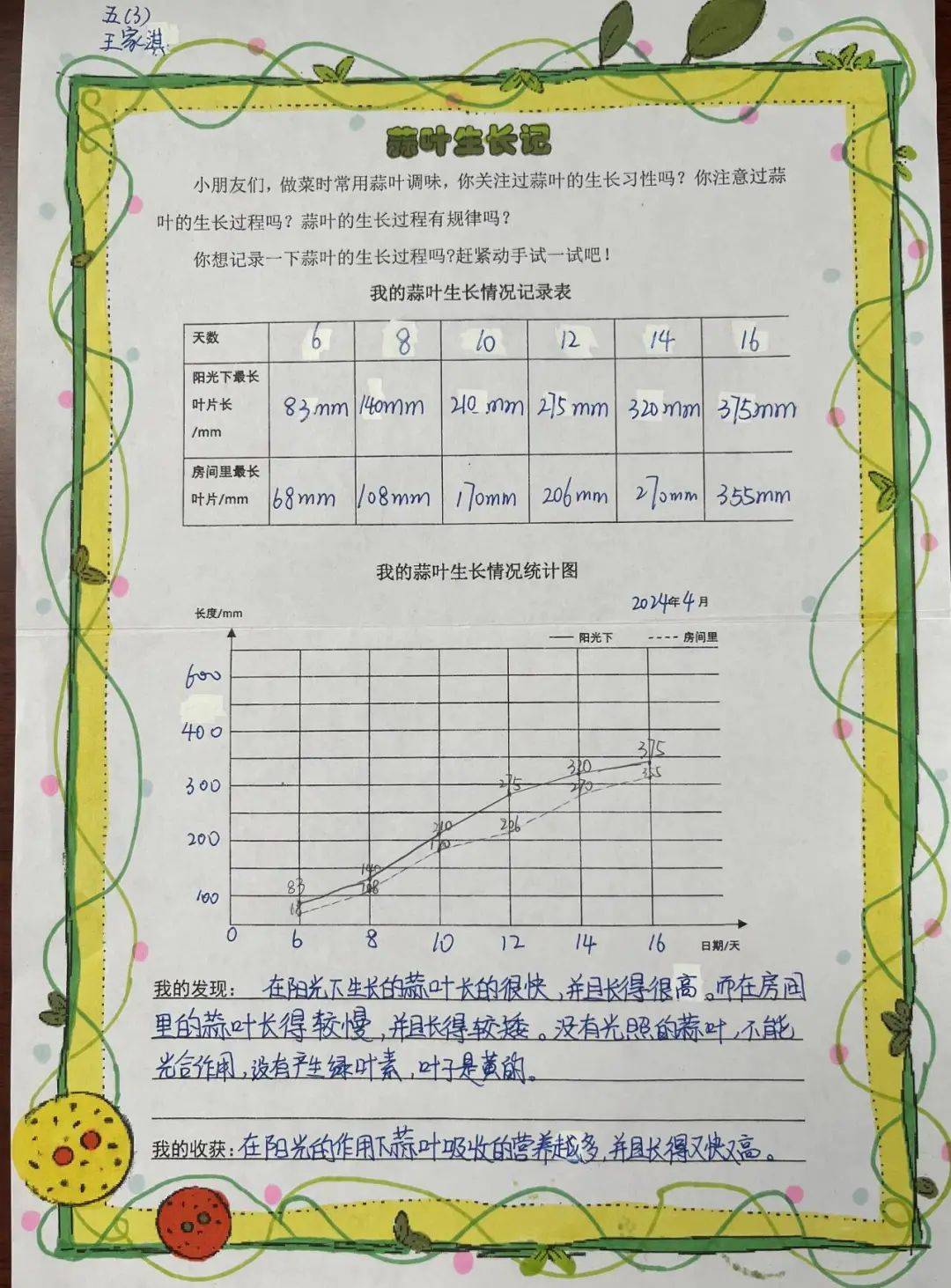 蒜叶的生长情况统计图图片