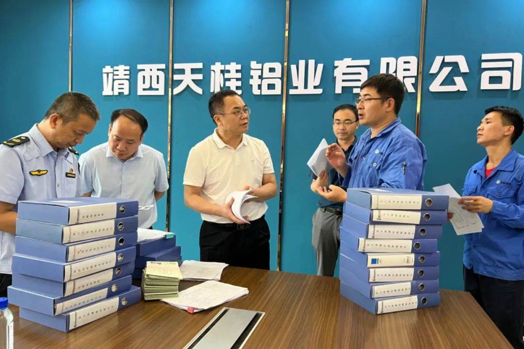 领域安全生产治本攻坚三年行动特种设备安全检查调研_靖西_企业_情况