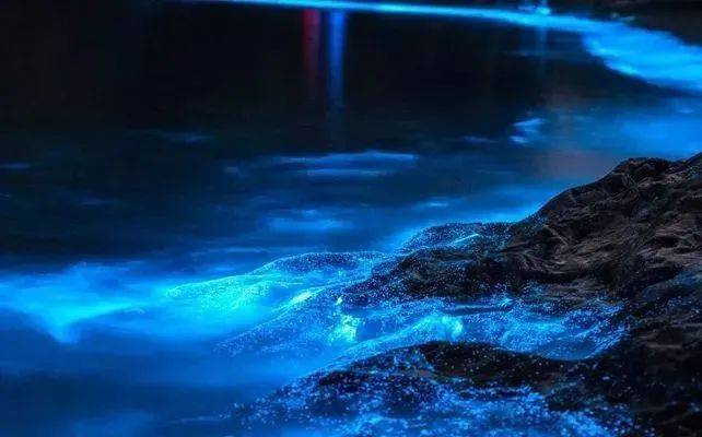 追一场梦幻蓝眼泪,"22个世界遗产点"泉州,簪花换装体验,全程四钻,1晚