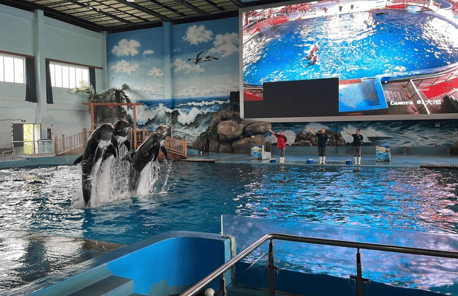 首先孩子们置身于梦幻的海底隧道,鱼群在头顶穿梭,五彩缤