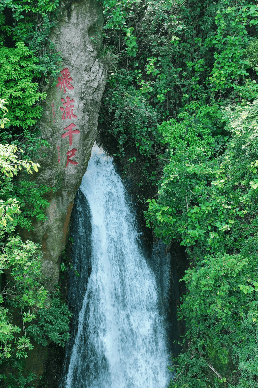 西樵山国家森林公园图片