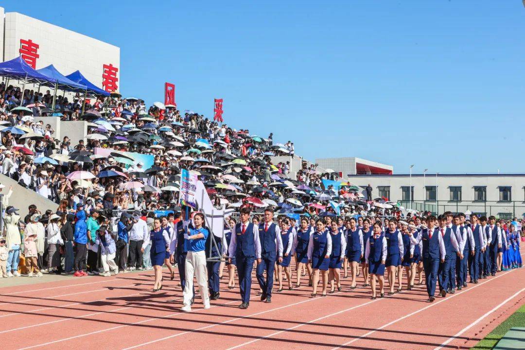 眉山职业技术学院校旗图片