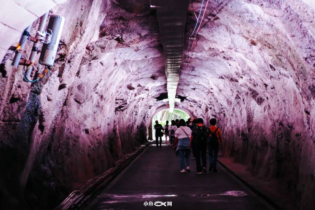 而曾经的防空袭避难所今何貌?_防空洞_龙山_鼓浪屿