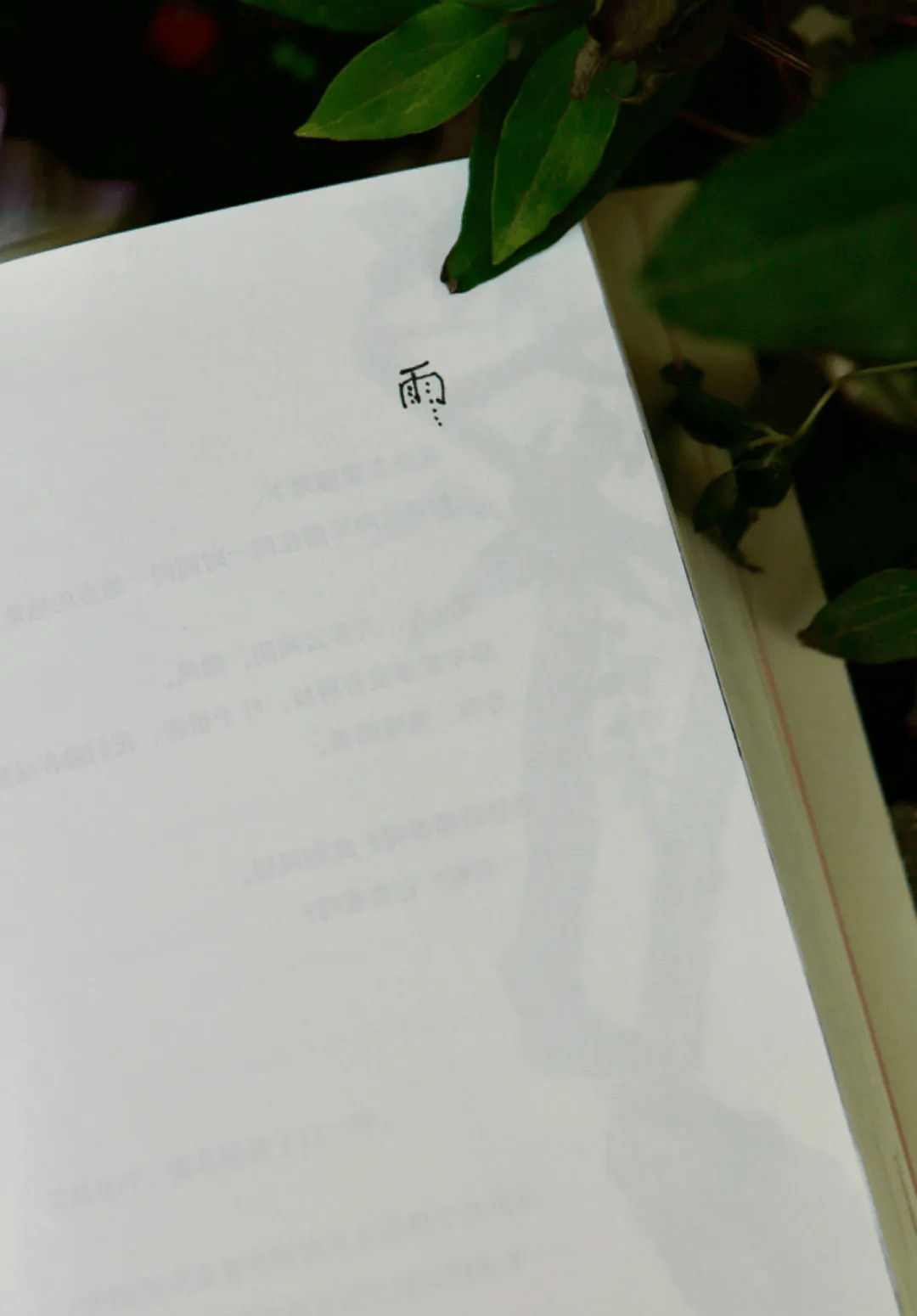 78岁"国宝级"绘本奶奶蕞新作品 | 亲笔签名版,限量500本!