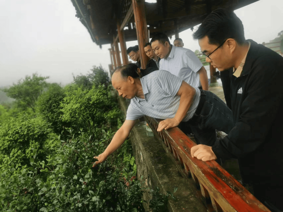 广西组织党外知识分子赴河池市开展助力乡村振兴活动