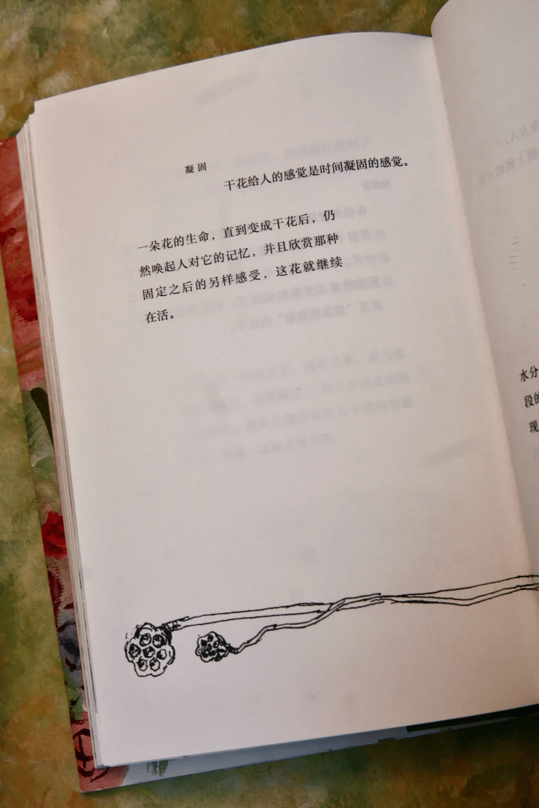 78岁"国宝级"绘本奶奶蕞新作品 | 亲笔签名版,限量500本!