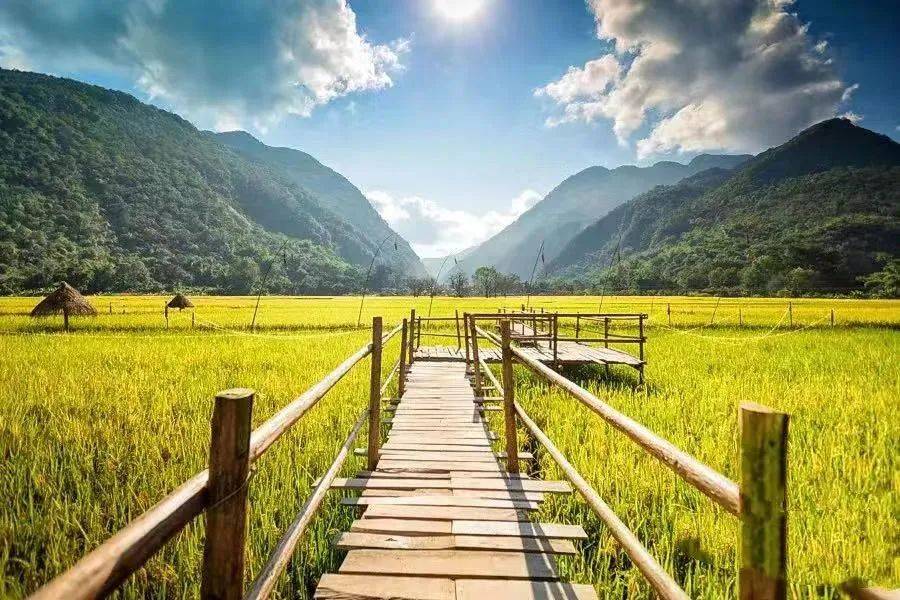 点赞|云南省农文旅融合示范案例——临沧市耿马自治县勐撒镇芒见村