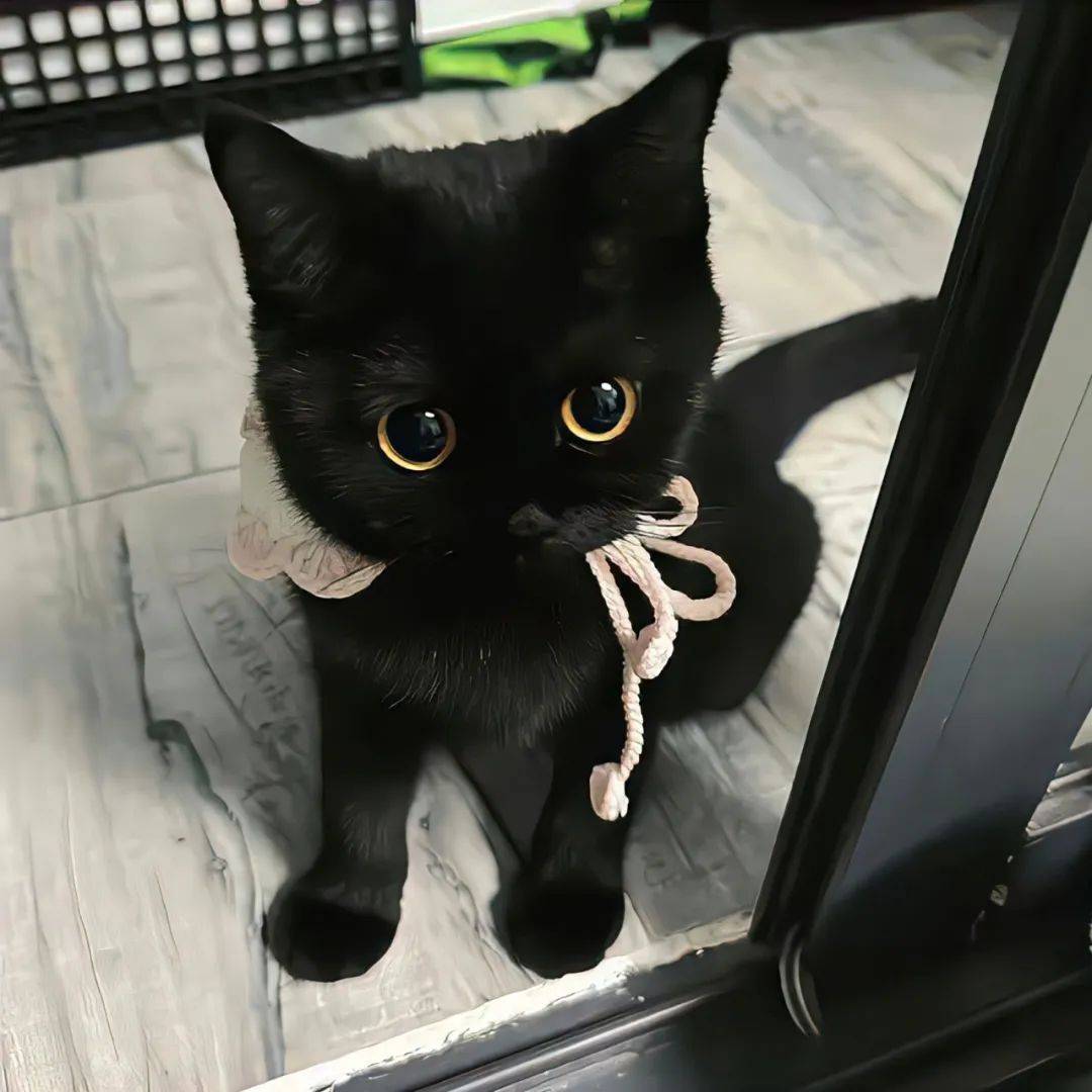 情侣 / 小众/微信头像/ 男女/搞怪- the end