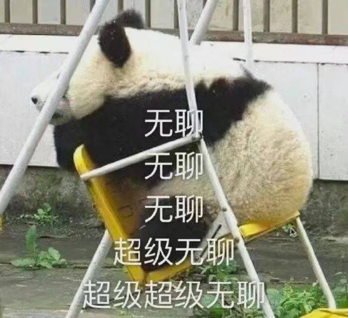 得见“青”心 | 那个中学生社团组织要搞事了！是不是那么会玩啊！