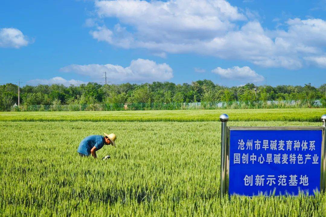 图游诗韵品中捷94