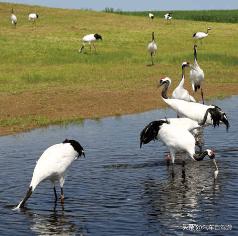 生态自驾游4线路推荐——双向欣赏的美好