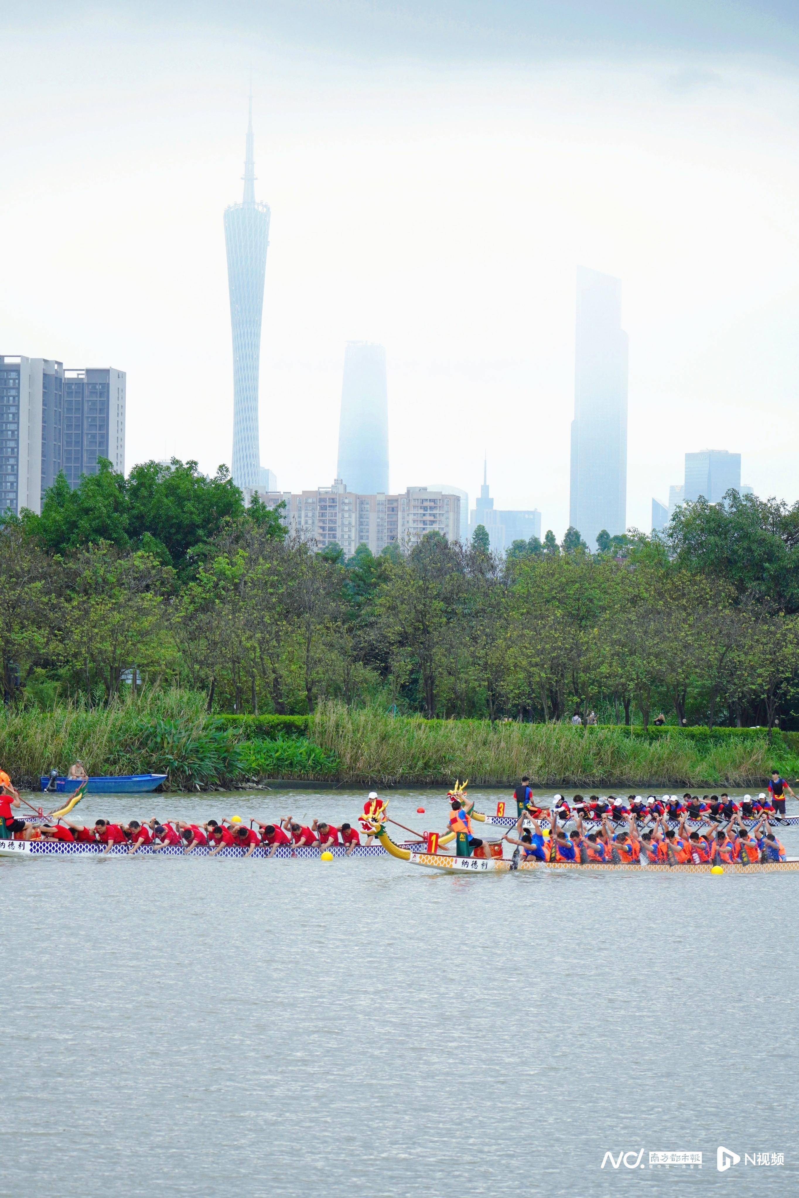 多图直击龙舟竞渡,广州海珠湿地龙船景开赛