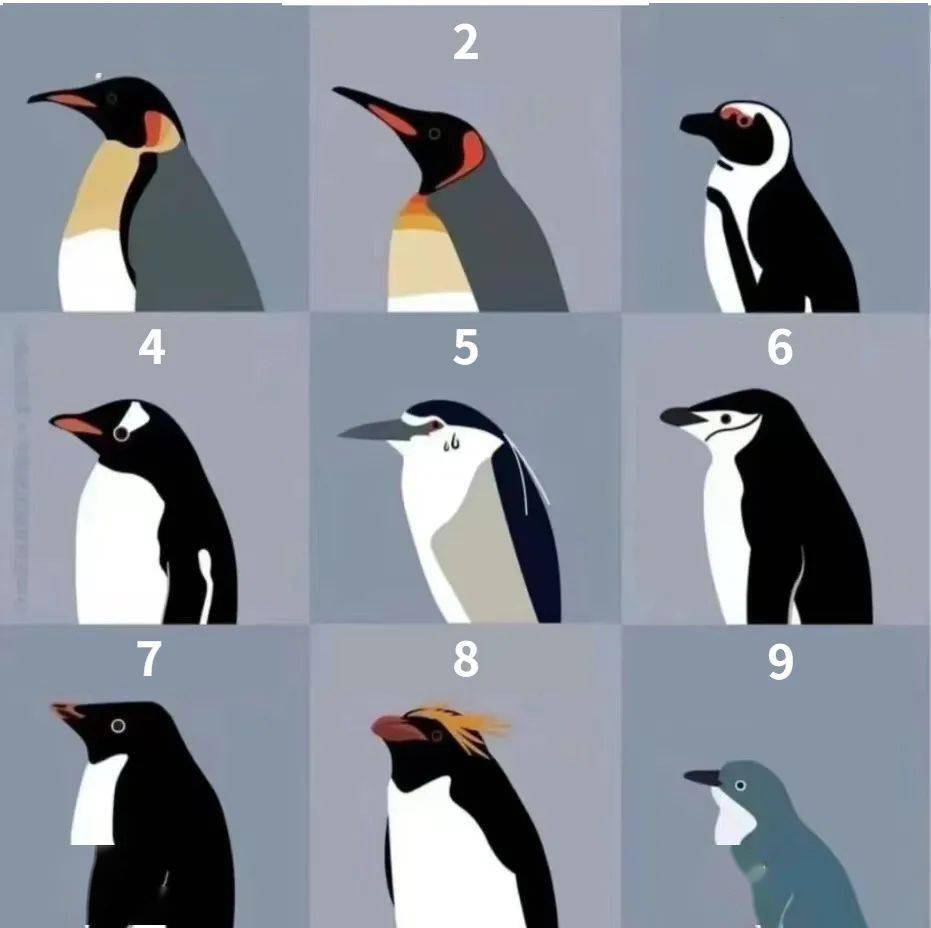 黑白邊框快樂的一天企鵝和心Word邊框背景圖免費下載- Slidesdocs, image size:931x928