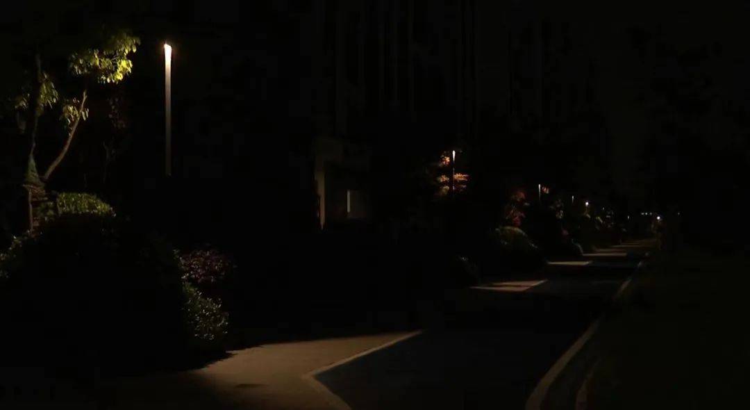 交付1年多,一到晚上就不敢出门!宁波这个小区居民忧心忡忡