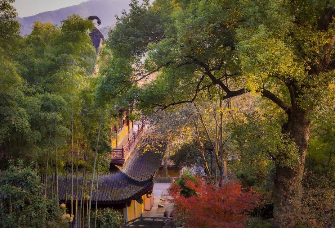 关于举办第二届中国佛教讲经法师高级研习班的通知