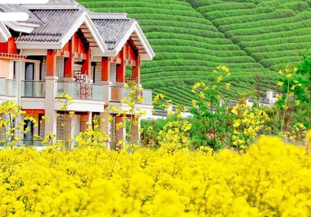 【余姚阳明温泉山庄】￥499享两天一晚温泉游,含园景精致房一间夜