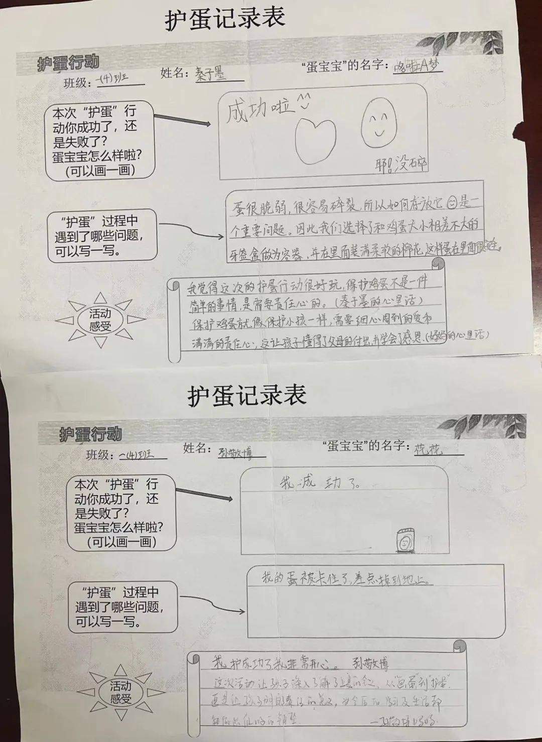 记仪征市实验小学一(4)一(5)班的护蛋行动