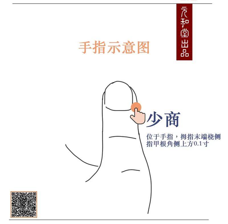 经,主肠胃,司消化功效:缓解便秘,腹泻,消化不良,缓解肝郁心情不畅3