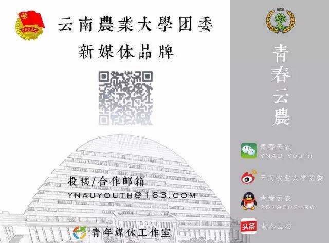 十佳风彩--王政|让自己成为自己