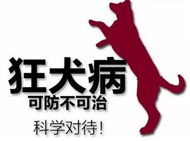 【便民服务】狂犬病暴露预防处置门诊正式开诊!7x24小时全天候服务