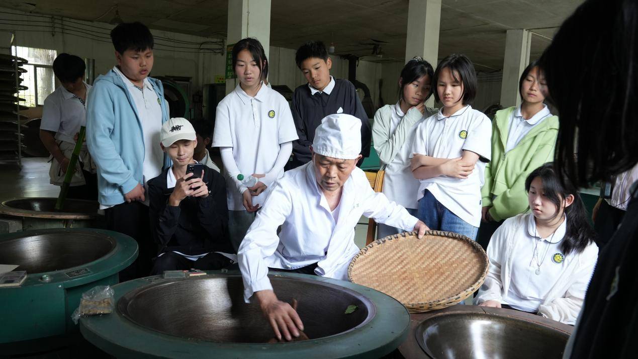 温泉中学走向社会开展采茶劳动实践课