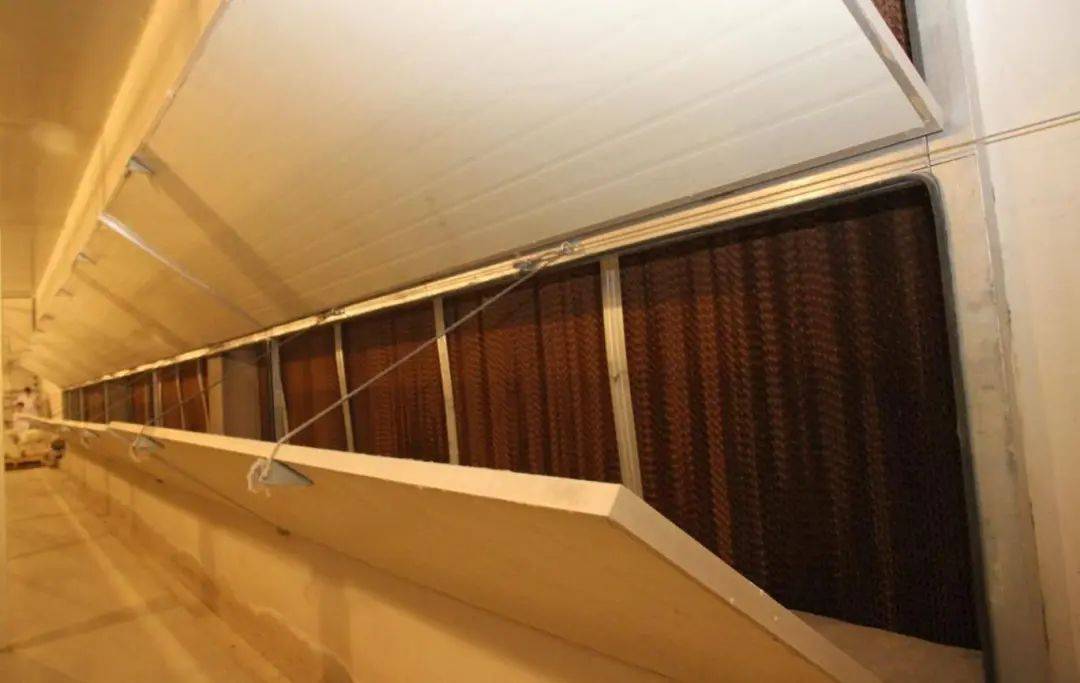 关于鸡舍湿帘的使用,您知道多少?