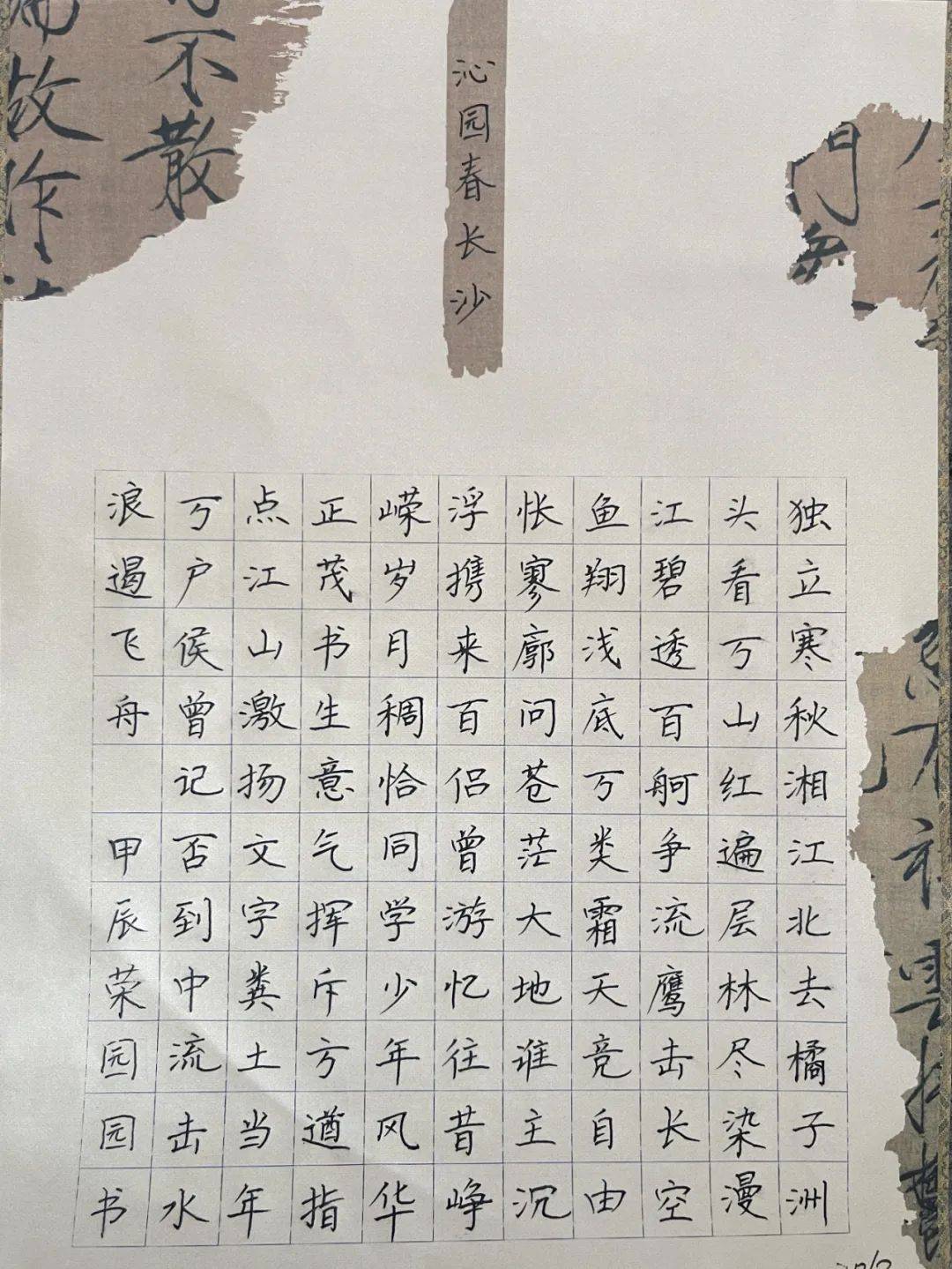 钢笔字书写内容《沁园春·长沙》融情于理,情境交融,抒发了以天下为己