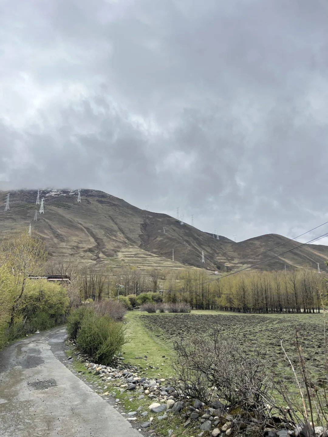 雅江_雪山_康定