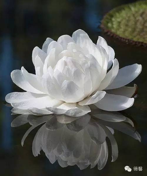 愿你星期一一帆风顺,星期二如沐春风,星期三生气勃勃,星期四时常快乐