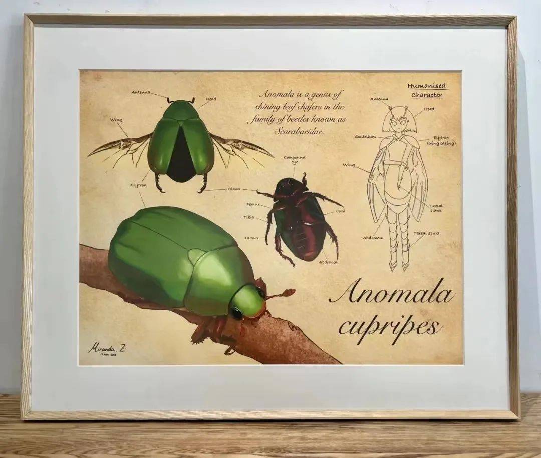 活动报名|西双版纳民族博物馆5·18国际博物馆日活动报名